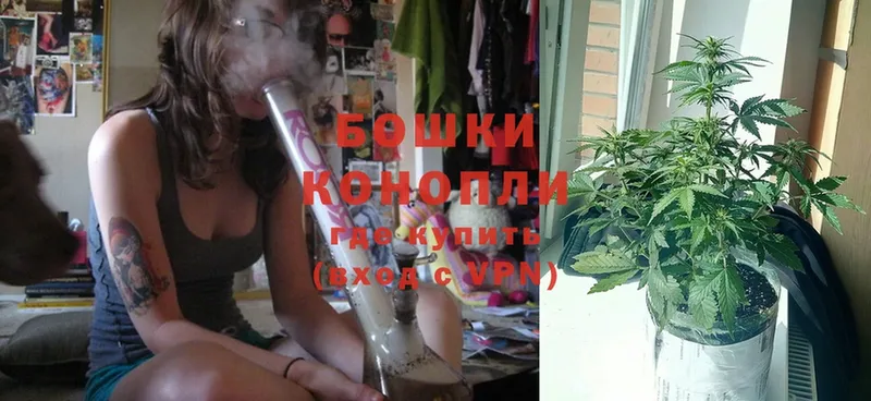 Канабис Ganja  Кириши 